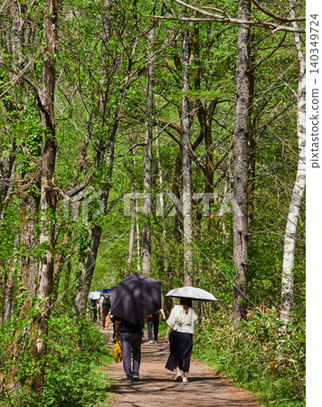 The scenery of the lush green forests of Kamikochi, a popular spring tourist spot, and the sight of tourists walking along the walking trails. The scenery of the lush green forests of Kamikochi, a popular spring tourist spot, and the sight of tourists walking along the walking trails. 140349724
