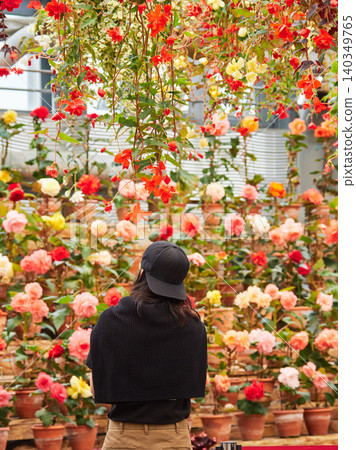 Tourists enjoying the sight of begonia flowers in full bloom in a greenhouse. Tourists enjoying the sight of begonia flowers in full bloom in a greenhouse. 140349765