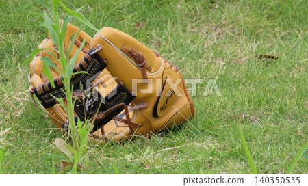 Gloves on the grass Gloves on the grass 140350535
