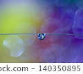 The beautiful gradient background and hanging water droplets create a fantastical atmosphere. 140350895