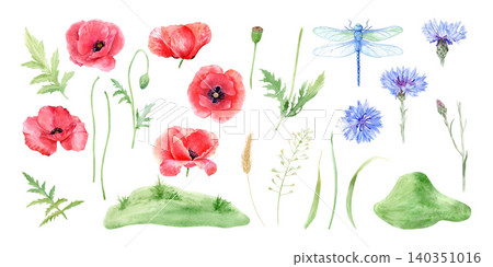 Collection of red poppies, blue cornflowers, dragonfly and green hills watercolor isolated illustration set. Hand drawn botanical wildflowers clipart for summer designs. Realistic detailed drawing. 140351016