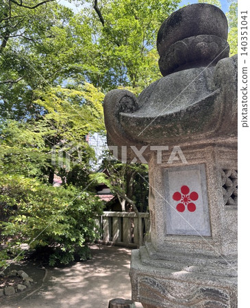 燈籠上繪有梅花圖案和樹木 燈籠上繪有梅花圖案和樹木 140351041