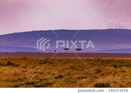Kenya Photographers By Antony Trivet Photography 140351076