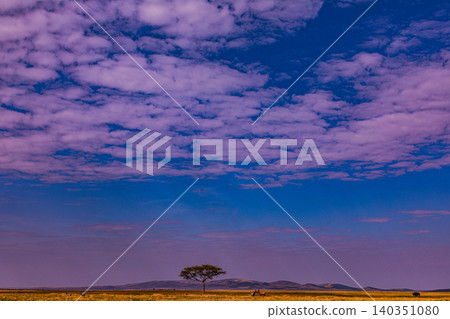 Kenya Photographers By Antony Trivet Photography 140351080
