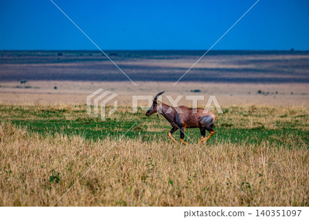 Kenya Photographers By Antony Trivet Photography 140351097