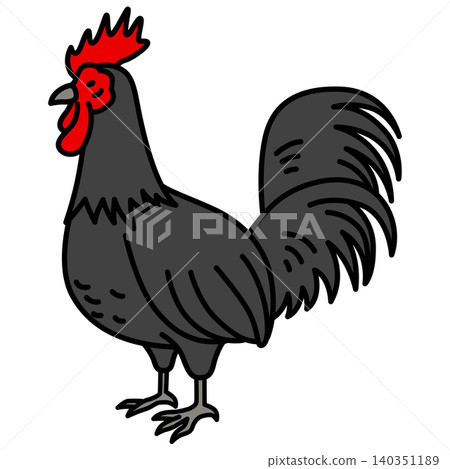 Chicken (black) Chicken (black) 140351189