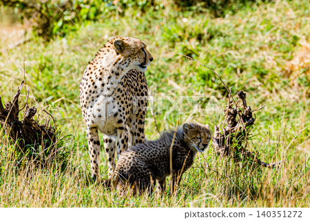 Kenya Photographers By Antony Trivet Photography 140351272