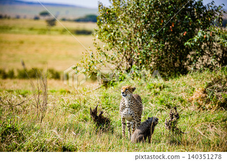 Kenya Photographers By Antony Trivet Photography 140351278