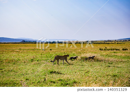 Kenya Photographers By Antony Trivet Photography Kenya Photographers By Antony Trivet Photography 140351329