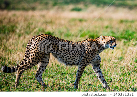 Kenya Photographers By Antony Trivet Photography Kenya Photographers By Antony Trivet Photography 140351351