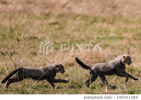Kenya Photographers By Antony Trivet Photography Kenya Photographers By Antony Trivet Photography 140351369