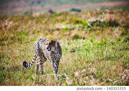 Kenya Photographers By Antony Trivet Photography Kenya Photographers By Antony Trivet Photography 140351555
