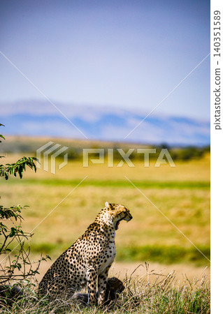 Kenya Photographers By Antony Trivet Photography 140351589