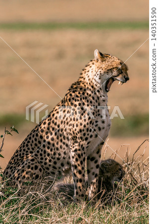 Kenya Photographers By Antony Trivet Photography 140351590