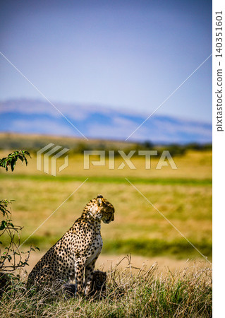 Kenya Photographers By Antony Trivet Photography Kenya Photographers By Antony Trivet Photography 140351601