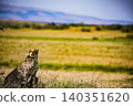 Kenya Photographers By Antony Trivet Photography 140351620