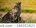 Kenya Photographers By Antony Trivet Photography 140351621