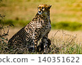 Kenya Photographers By Antony Trivet Photography 140351622