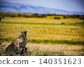 Kenya Photographers By Antony Trivet Photography 140351623