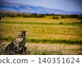 Kenya Photographers By Antony Trivet Photography 140351624