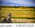 Kenya Photographers By Antony Trivet Photography 140351626