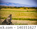 Kenya Photographers By Antony Trivet Photography 140351627