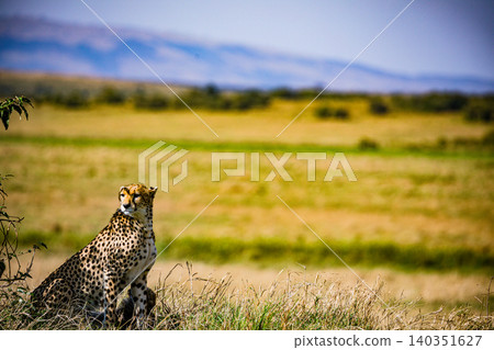 Kenya Photographers By Antony Trivet Photography 140351627
