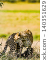 Kenya Photographers By Antony Trivet Photography 140351629
