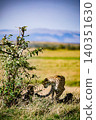 Kenya Photographers By Antony Trivet Photography 140351630