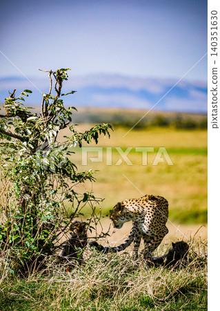 Kenya Photographers By Antony Trivet Photography Kenya Photographers By Antony Trivet Photography 140351630
