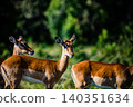 Kenya Photographers By Antony Trivet Photography 140351634