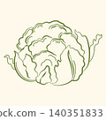 Hand-drawn cauliflower in line art sketch style for grocery shop, farmers market, summer packaging, cooking ingredients 140351833