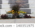 Colorful Flowers outdoor by a sidewalk 140351975