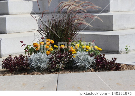 Colorful Flowers outdoor by a sidewalk Colorful Flowers outdoor by a sidewalk 140351975