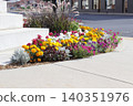 Colorful Flowers outdoor by a sidewalk 140351976