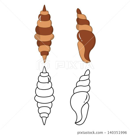 Sea shell outline and flat color illustrations 140351996