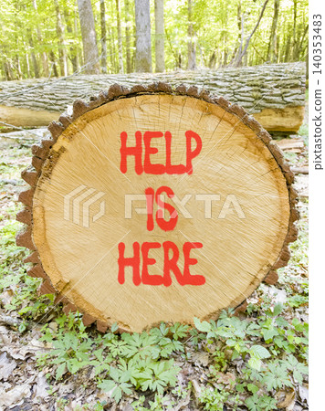 Help is here and support words symbol. Concept words Help is here on beautiful wooden circle. Beautiful green forest background. Business help is here and support concept. Copy space. Help is here and support words symbol. Concept words Help is here on beautiful wooden circle. Beautiful green forest background. Business help is here and support concept. Copy space. 140353483