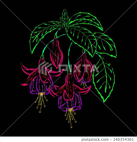 Bunch of several fuchsia flowers with leaves. Outline stylized illustration in vivid neon colors. Isolated design element on black background. 140354361