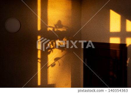 Warm morning window light casting plant shadows on textured wall 140354363