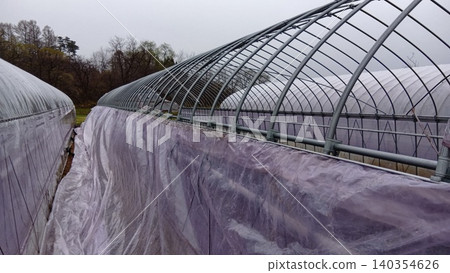 A greenhouse with plastic sheeting blown away A greenhouse with plastic sheeting blown away 140354626