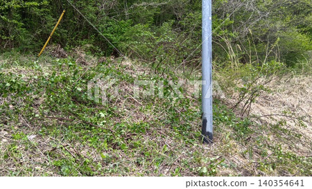 Land that has been cleared Land that has been cleared 140354641