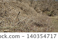 The trees on the slope that were cut down 140354717