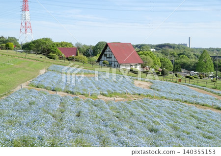 粉蝶：一片令人嘆為觀止的花海（愛知縣日新市愛知農場） 140355153