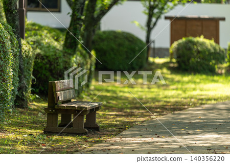A green park with sunlight filtering through the trees and wooden benches A green park with sunlight filtering through the trees and wooden benches 140356220