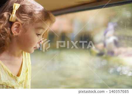 Little girl, glass and aquarium with fish to explore for sightseeing or watching sea animals in captivity. Female person, child or kid looking at window or tank of water creatures or species at zoo Little girl, glass and aquarium with fish to explore for sightseeing or watching sea animals in captivity. Female person, child or kid looking at window or tank of water creatures or species at zoo 140357085