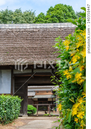 Thatched roof and cat Thatched roof and cat 140358447