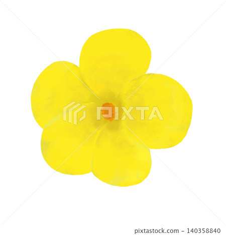 Illustration of bitter melon flowers Illustration of bitter melon flowers 140358840