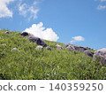 夏日美景，藍天綠草。 140359250