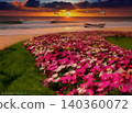 A cosmos field illuminated by the sunset 140360072