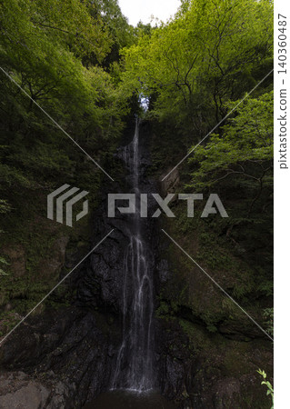 Hagoromo Shiraito Falls in Hayakawa Town, Yamanashi Prefecture 140360487